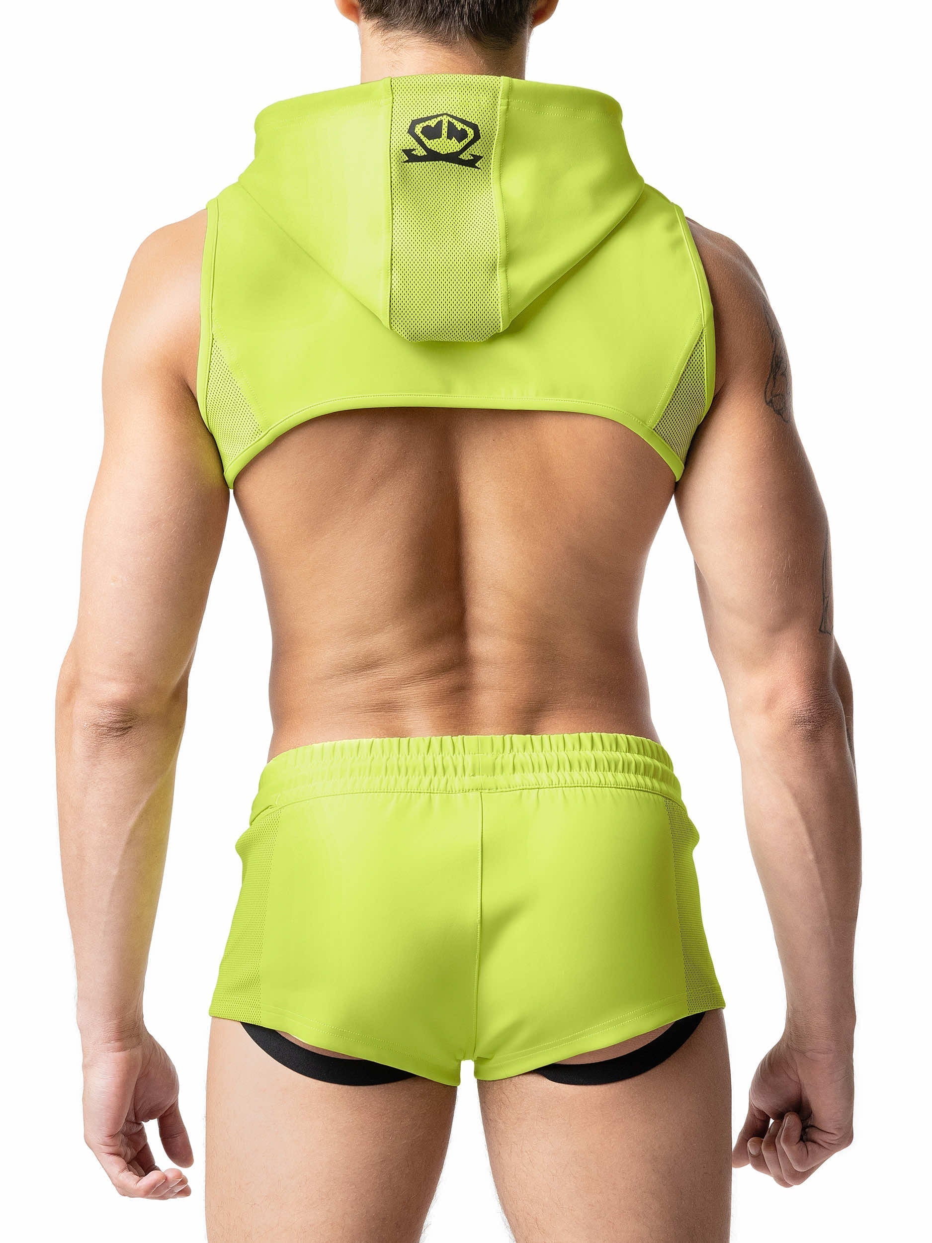 ACID HOODED CROP TOP - DealByEthan.gay loves Nasty Pig
