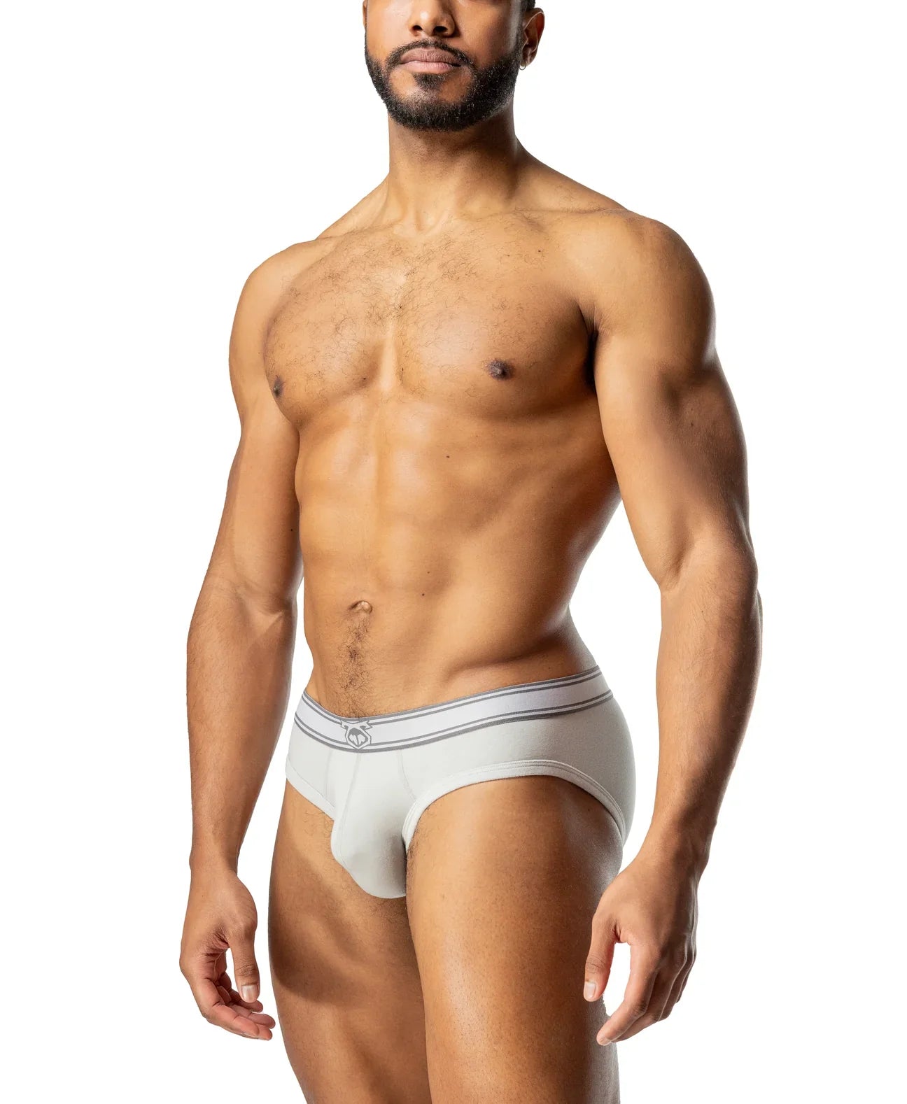 CORE Y-FRONT BRIEF - DealByEthan.gay loves Nasty Pig