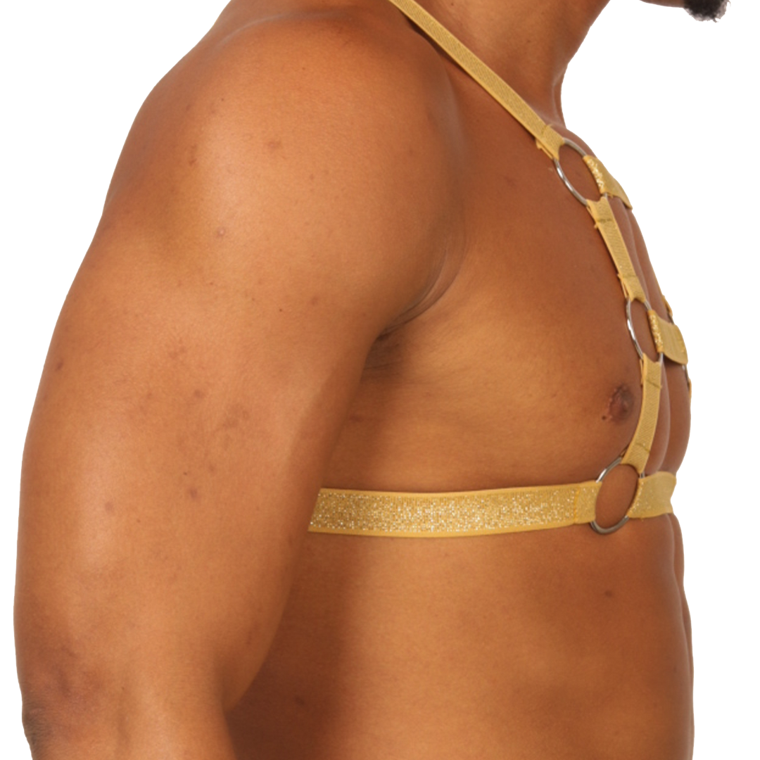 Gigo Hit Gold Harness - DealByEthan.gay loves Gigo Underwear