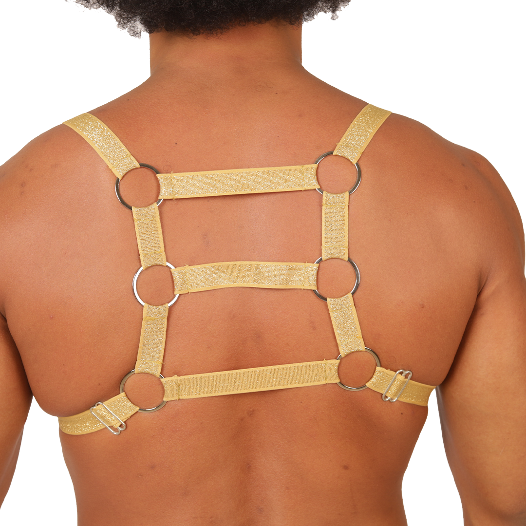 Gigo Hit Gold Harness - DealByEthan.gay loves Gigo Underwear