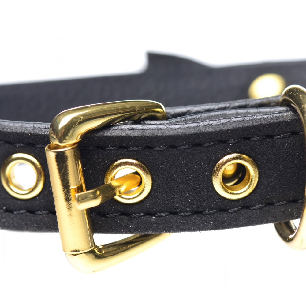 Golden Kitty Cat Bell Collar - DealByEthan.gay loves Master Series
