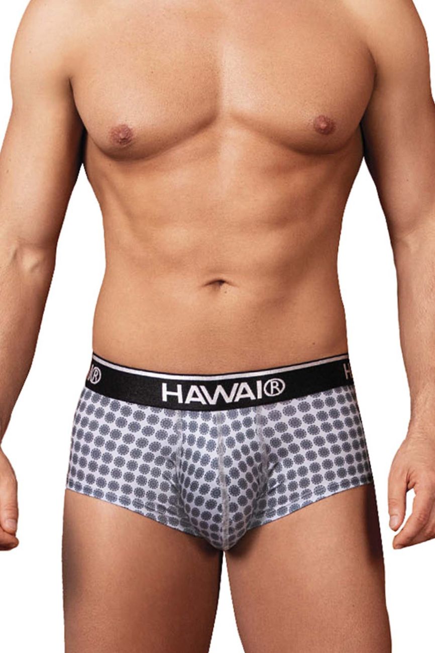 HAWAI 42430 Printed Briefs Color Gray - DealByEthan.gay loves HAWAI