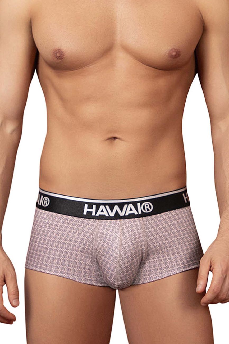 HAWAI 42431 Printed Briefs Color Cocoa - DealByEthan.gay loves HAWAI