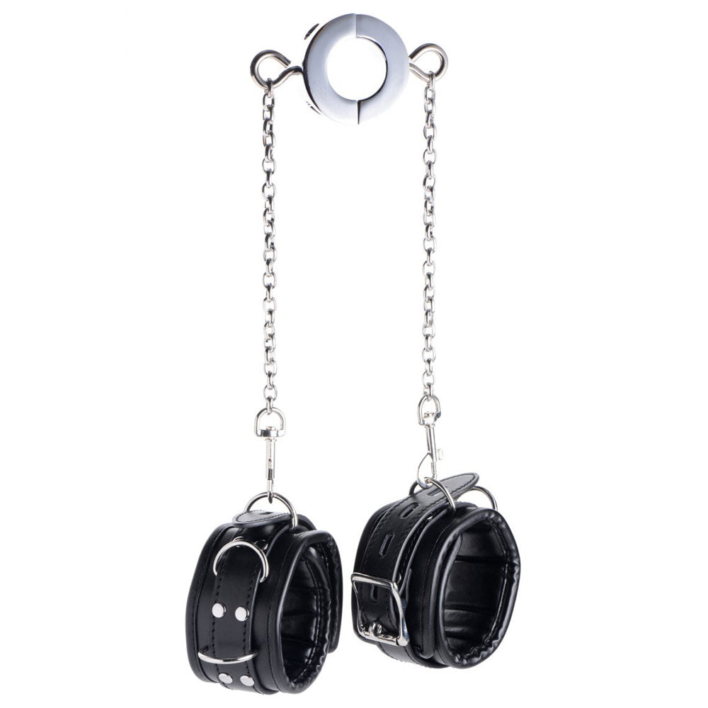 Hells Tether Ball Stretcher Humbler - DealByEthan.gay loves Master Series