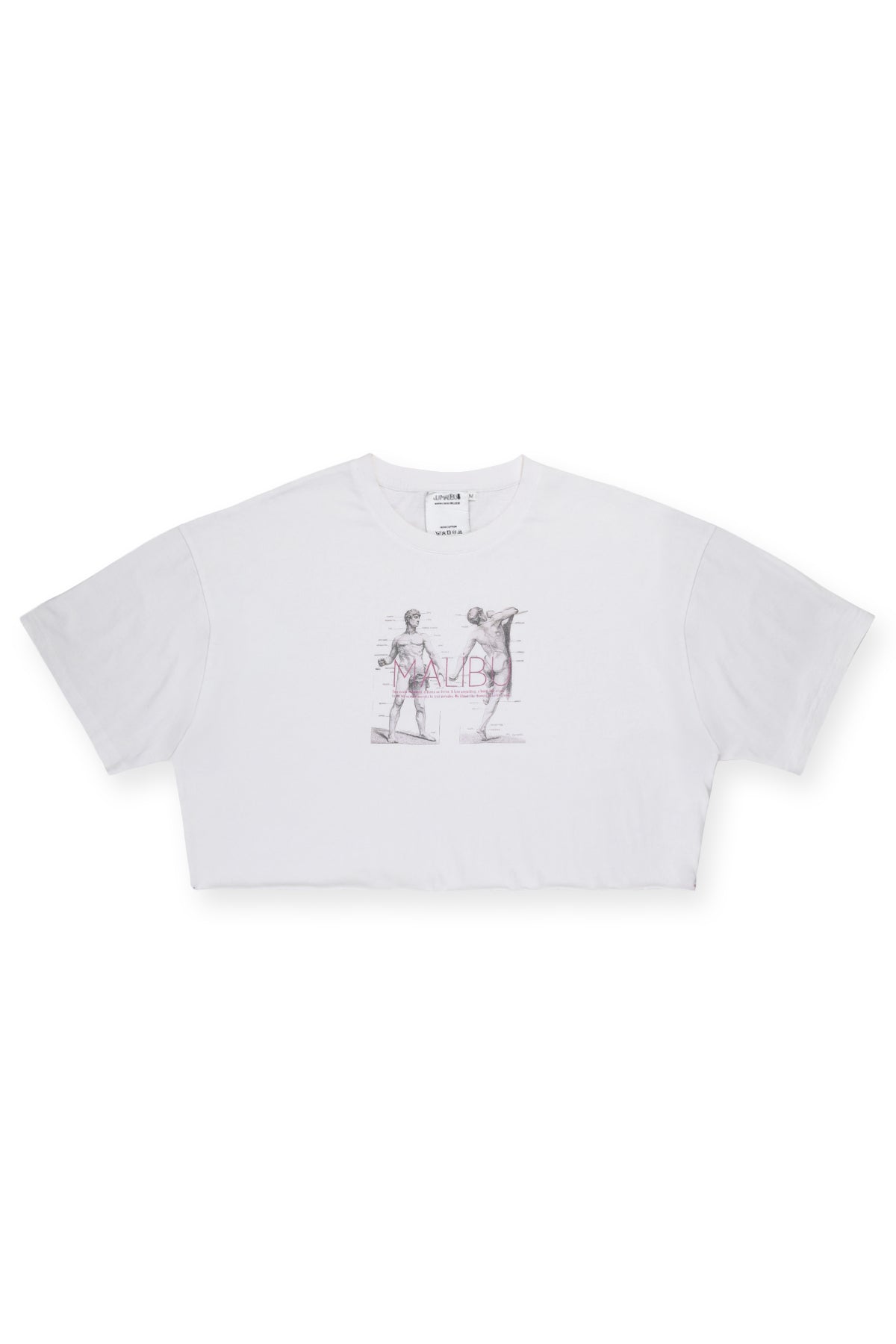 JJ Malibu Vintage-Washed Drop-Shoulder Crop Tee - Anatomy - DealByEthan.gay loves JJ Malibu