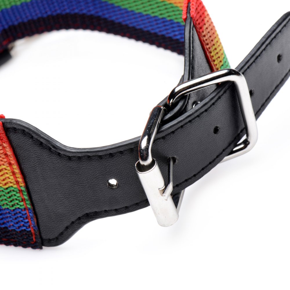 Kinky Pride Rainbow Bondage Set - DealByEthan.gay loves Master Series