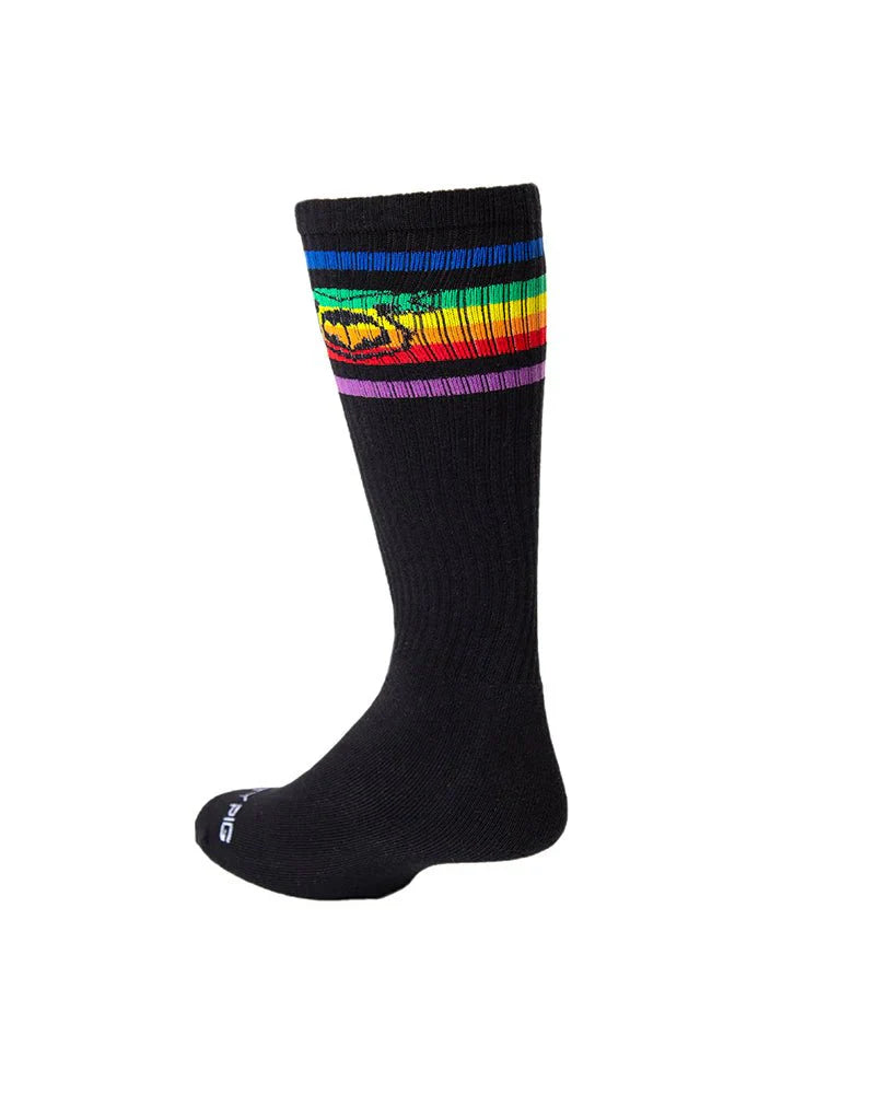 PRIDE SOCK - DealByEthan.gay loves Nasty Pig