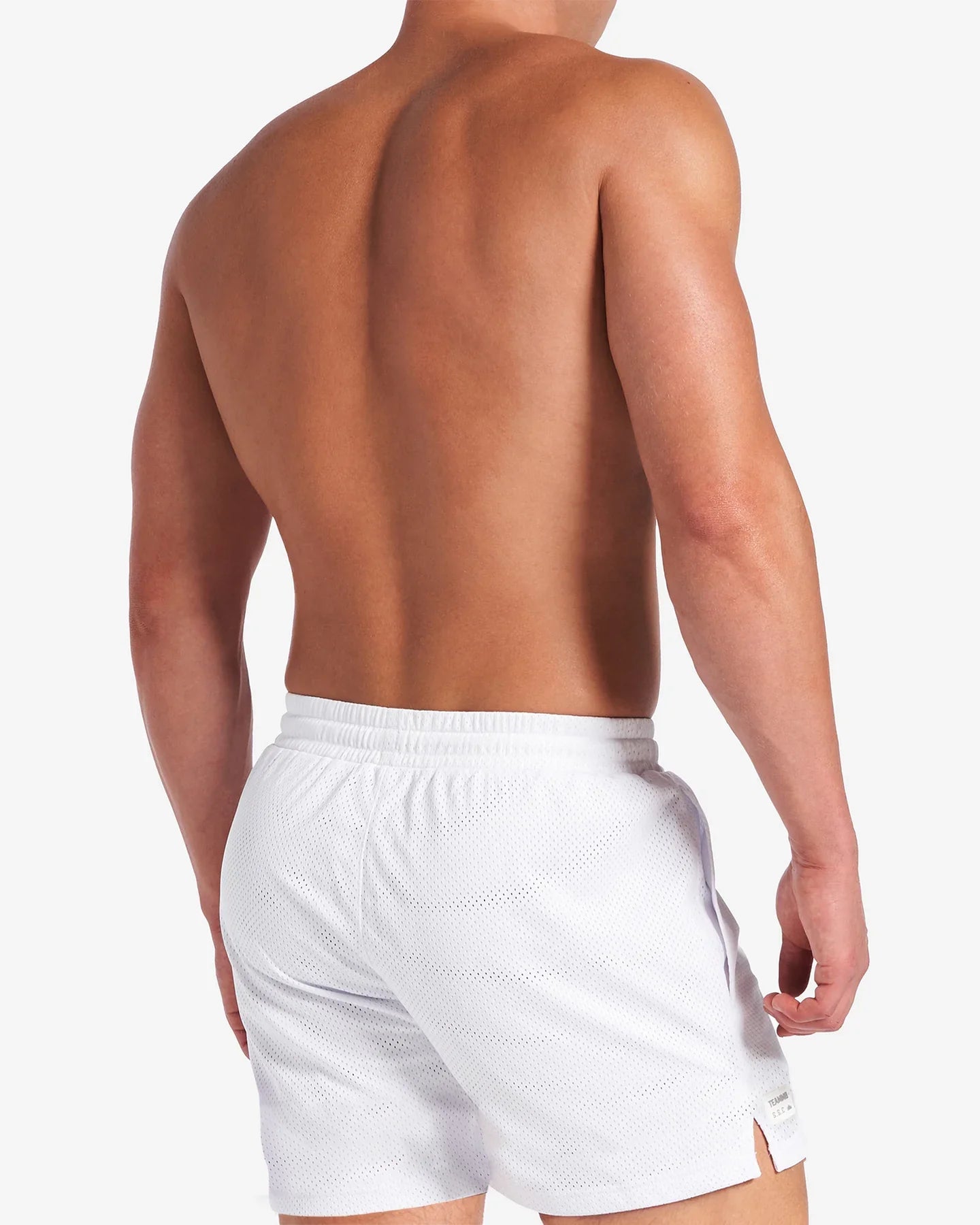 S.S.C. MESH 6" SHORT - DealByEthan.gay loves Teamm8