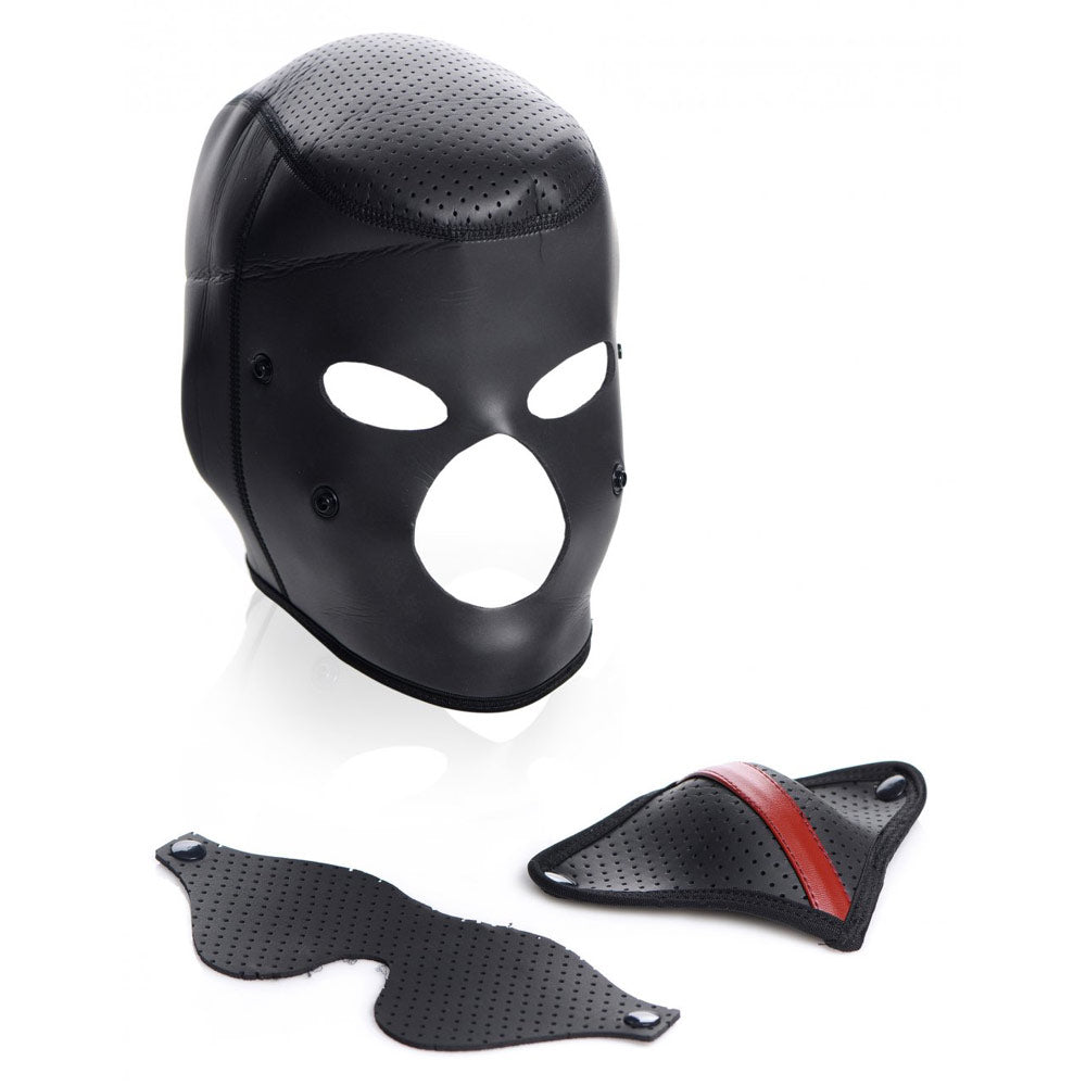 Scorpion Hood With Removable Blindfold and Face Mask - DealByEthan.gay loves Master Series