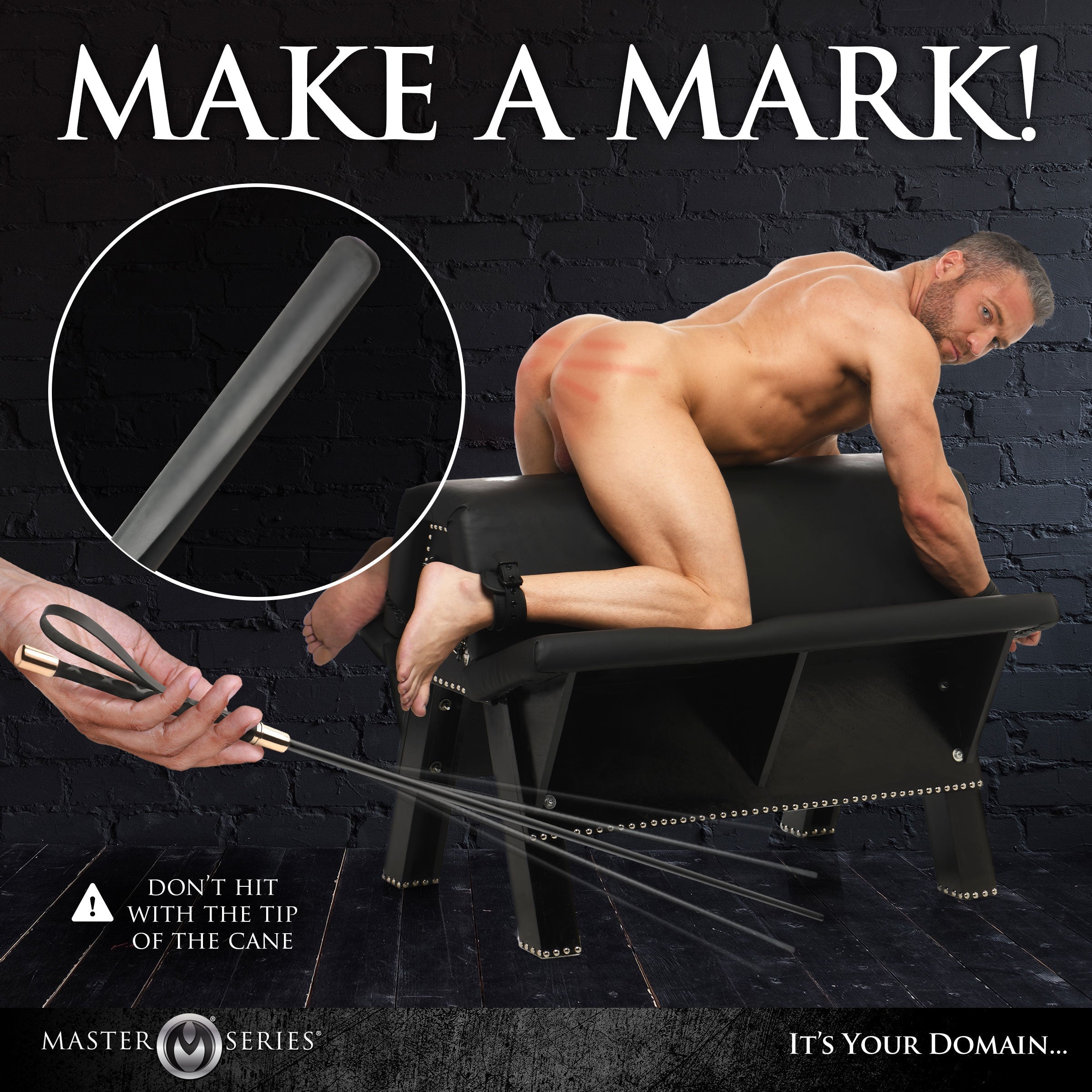 Sinful Impact Cane - DealByEthan.gay loves Master Series