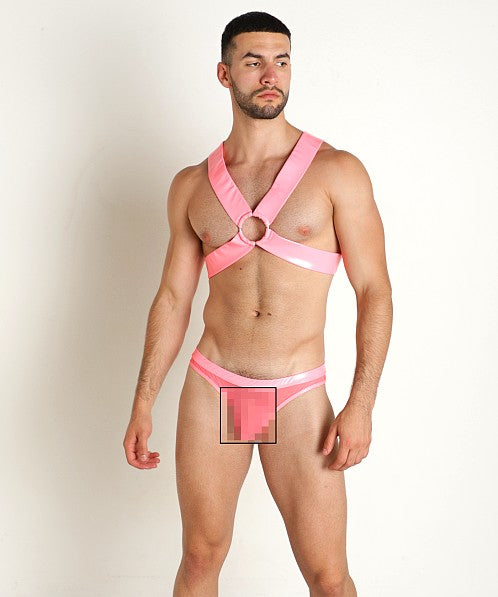 VINYL MESH HARNESS - DealByEthan.gay loves Rick Majors