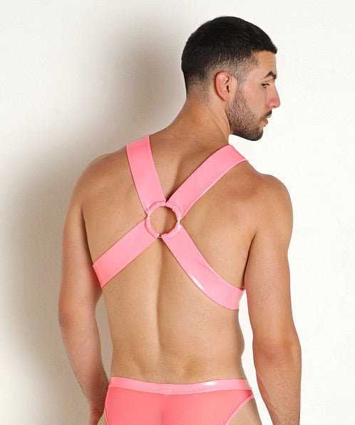 VINYL MESH HARNESS - DealByEthan.gay loves Rick Majors
