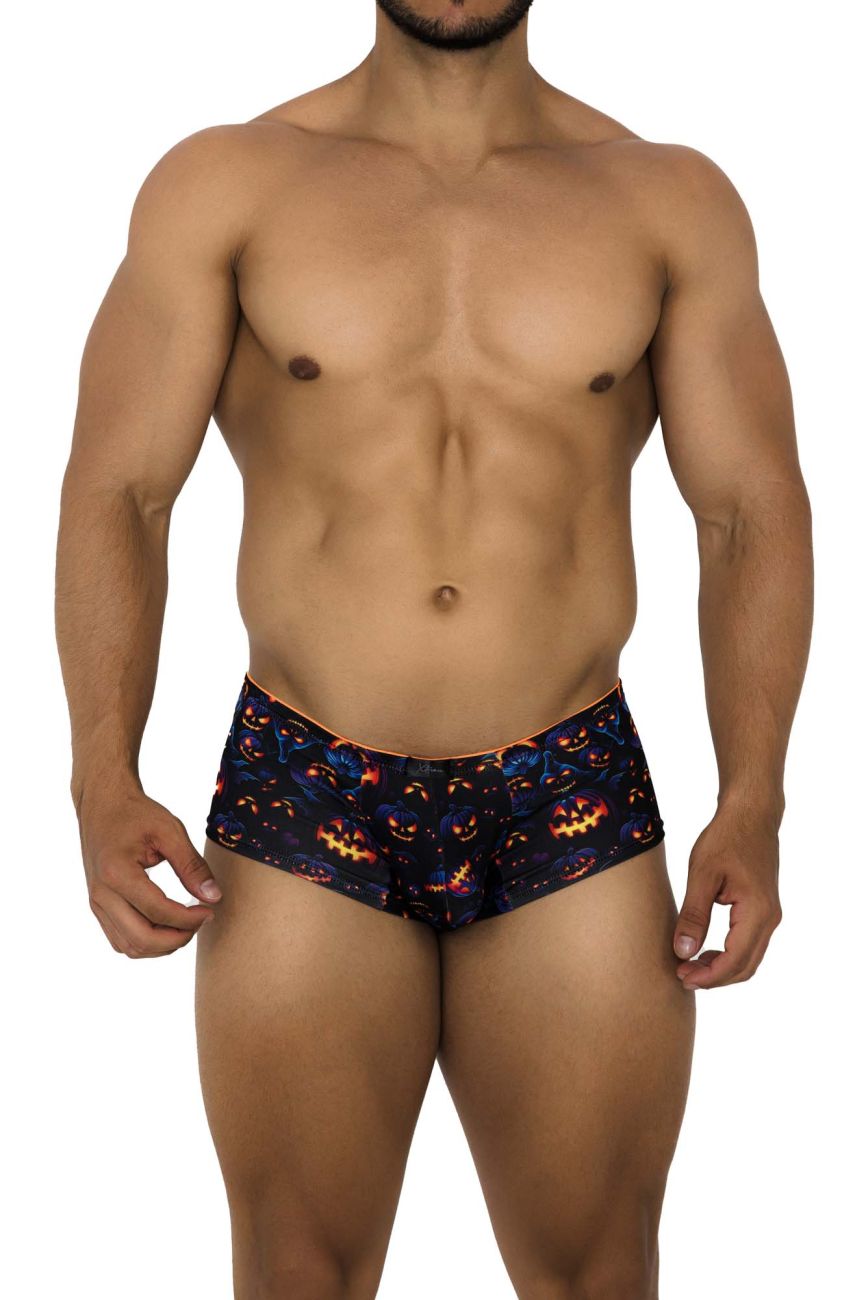 Xtremen 91193 Printed Trunks Color Pumpkins - DealByEthan.gay loves Xtremen
