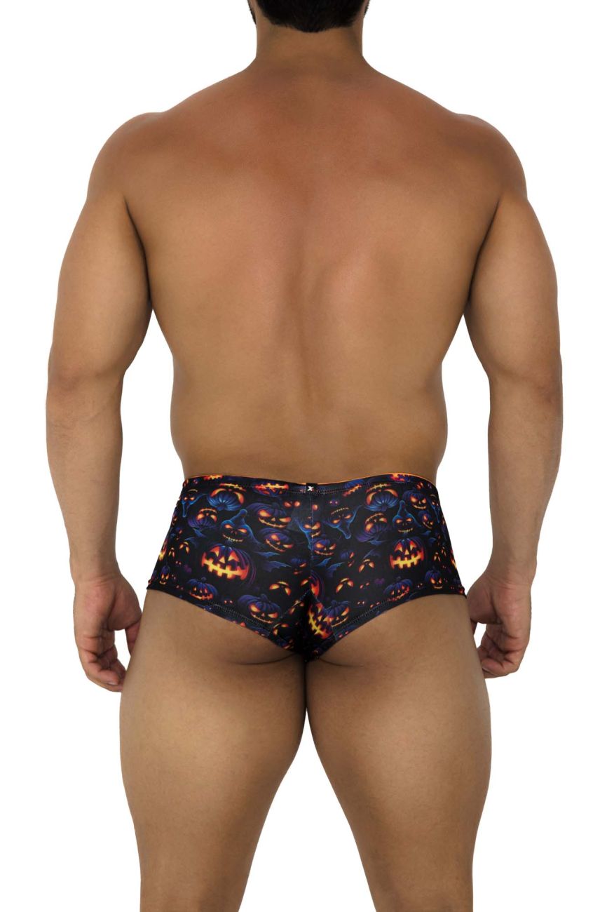 Xtremen 91193 Printed Trunks Color Pumpkins - DealByEthan.gay loves Xtremen