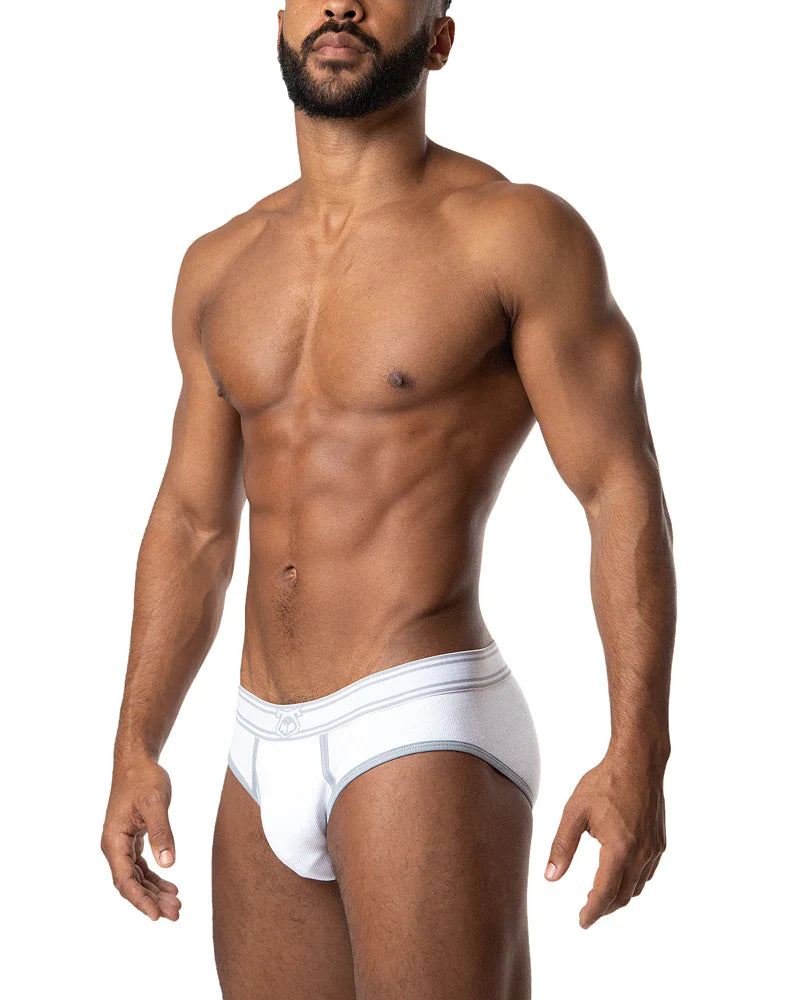 CORE Y-FRONT BRIEF - DealByEthan.gay loves Nasty Pig