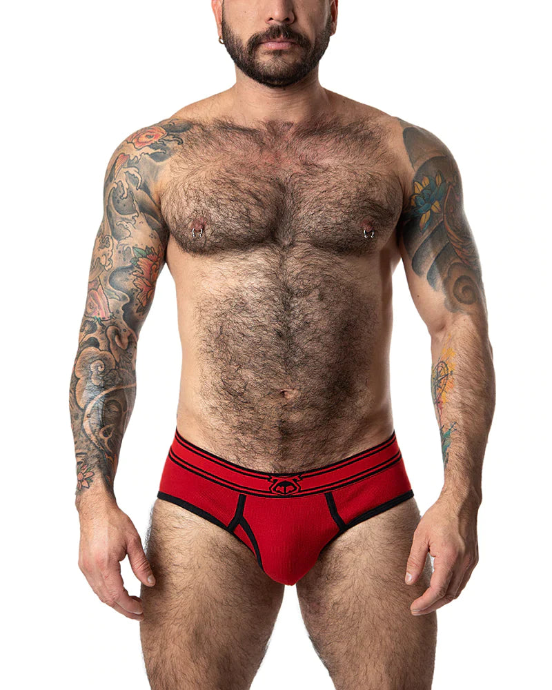 CORE Y-FRONT BRIEF - DealByEthan.gay loves Nasty Pig