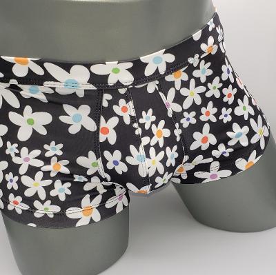 DAISY SQ CUT - DealByEthan.gay