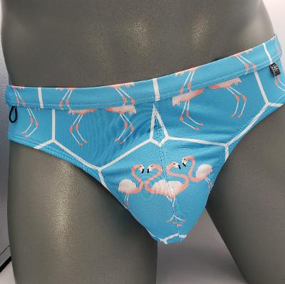 FLAMINGO BRIEF - DealByEthan.gay