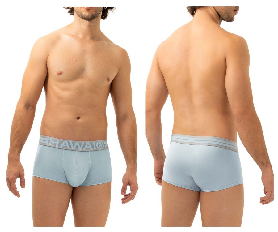 HAWAI 41961 Microfiber Briefs Color Light Blue - DealByEthan.gay loves HAWAI