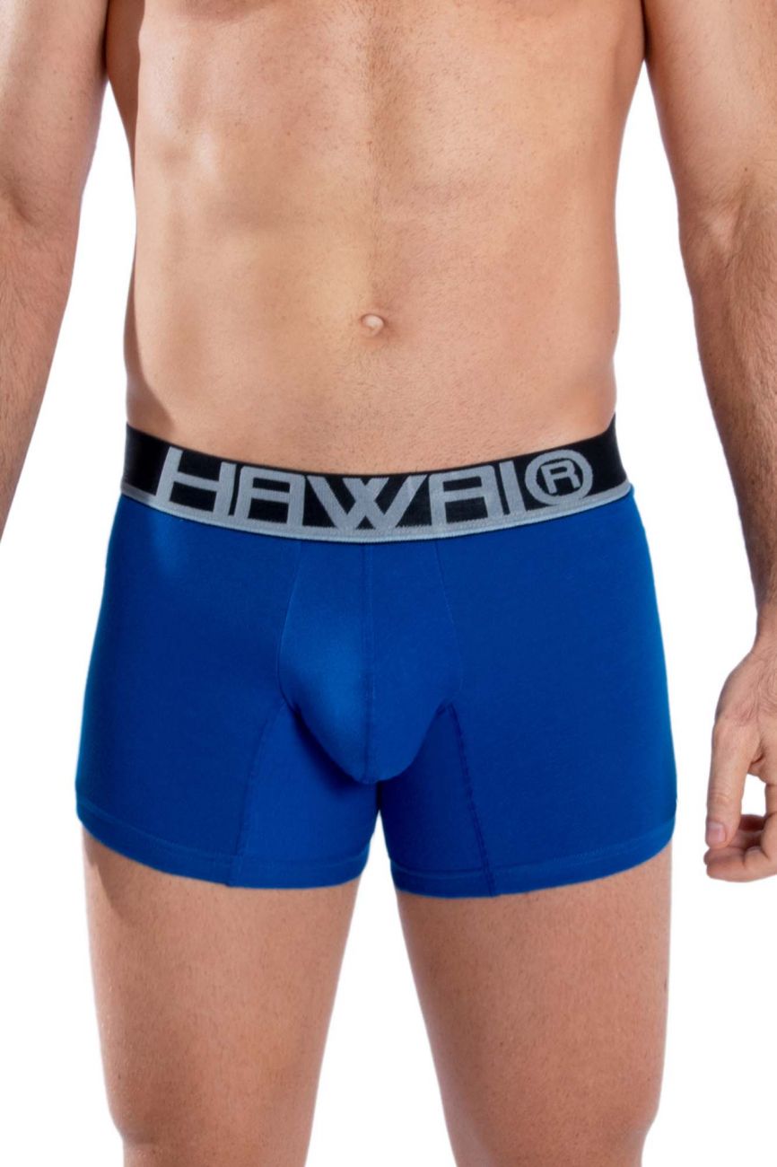 HAWAI 4986 Solid Athletic Trunks Color Royal Blue - DealByEthan.gay loves HAWAI