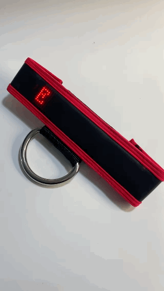 MARQUEE CENTER STRAP - RED - DealByEthan.gay loves Breedwell