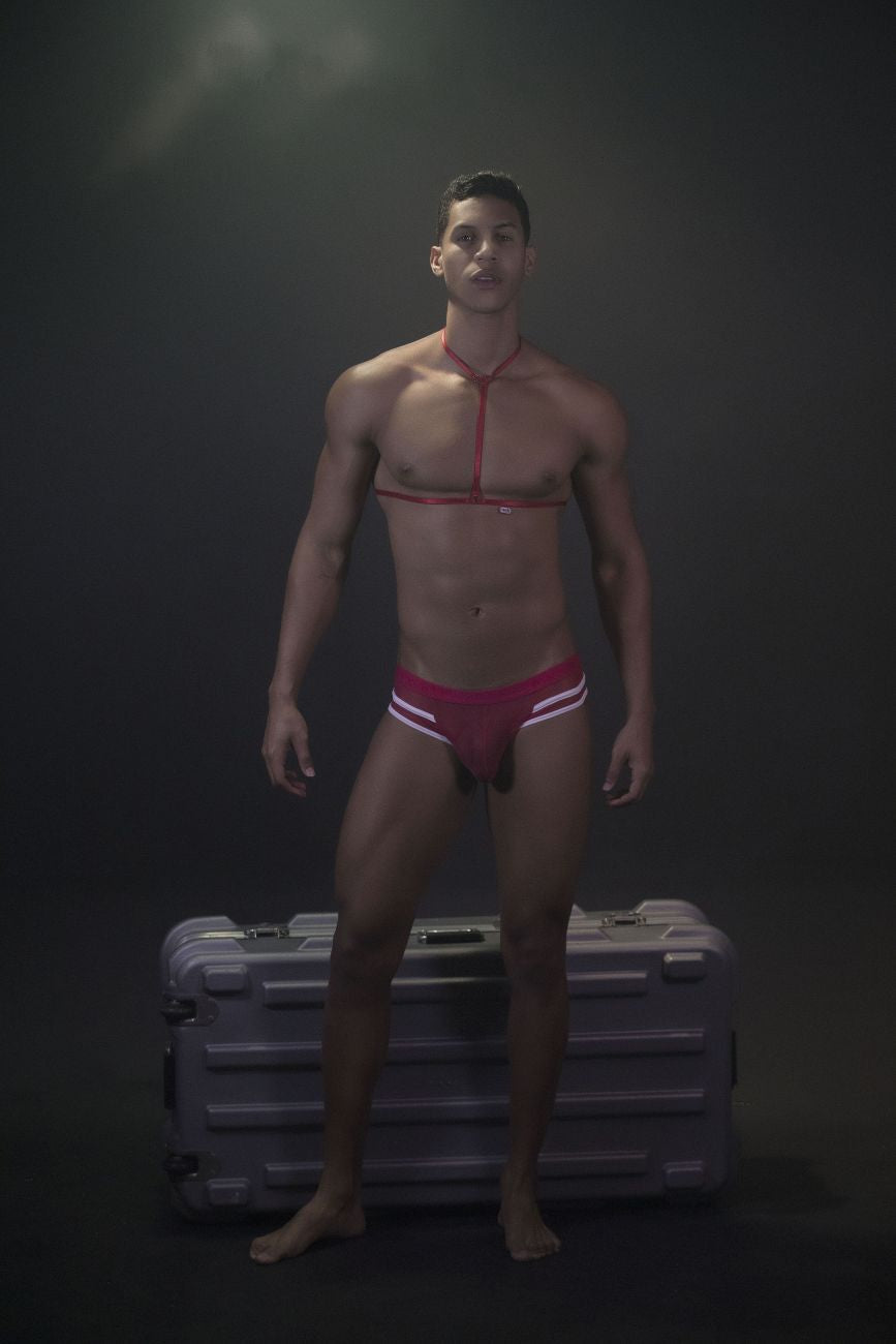 Pikante PIK 0495 Hot Harness Briefs Color Red - DealByEthan.gay loves Pikante