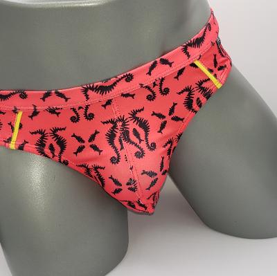 SEA HORSE BRIEF - DealByEthan.gay
