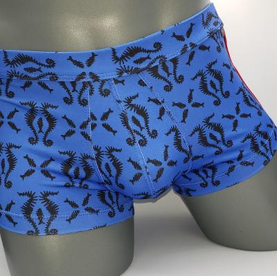 SEA HORSE SQ CUT - DealByEthan.gay