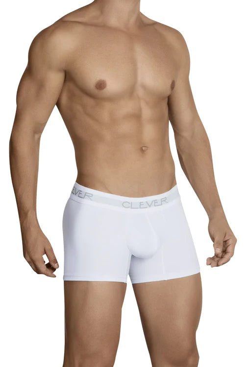 White men’s boxer briefs with subtle gray clever logo on waistband in black and white color for everyday wear