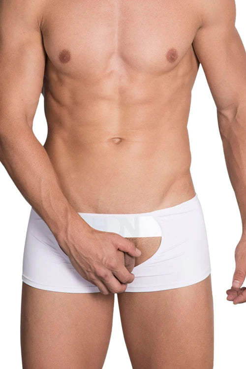 White briefs with a cutout design featured in discover the allure of hidden 970 open trunks in white article