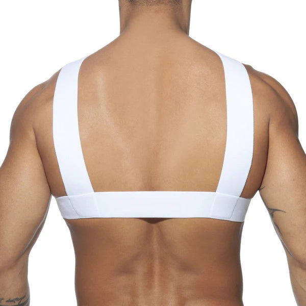 All You Need to Know About the Double Ring Harness - DealByEthan.gay