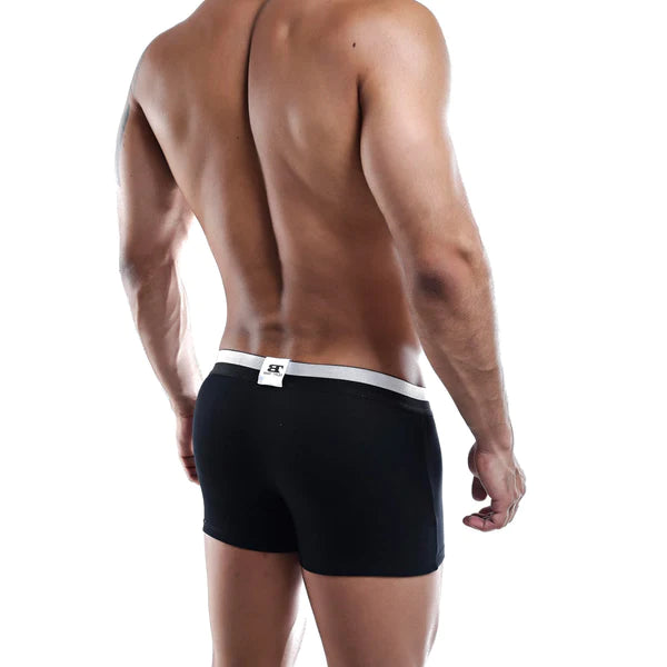 Black briefs with a white waistband and small logo on the back showcasing brieftales btg002 boxer trunk style and comfort
