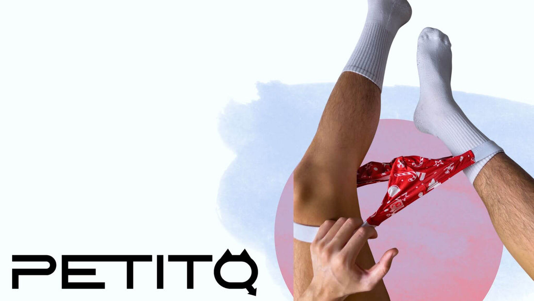 PetitQ Underwear: Bold, Innovative Styles Redefining Men’s Fashion