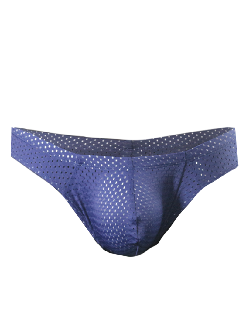 Pride Mesh Bunz Brief