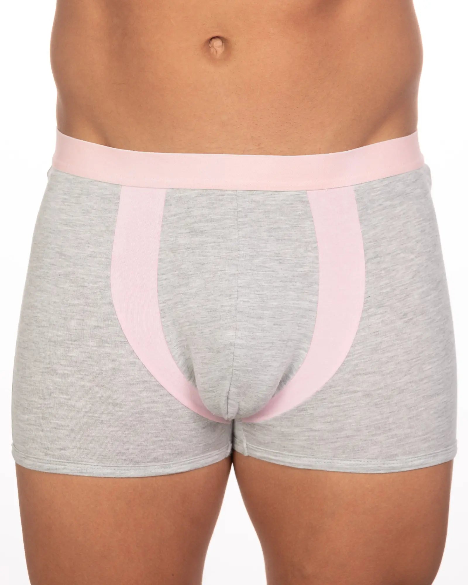 Gray heathered briefs with soft pink waistband and side panels in 10-pack undergear basix alex two-tone trunk