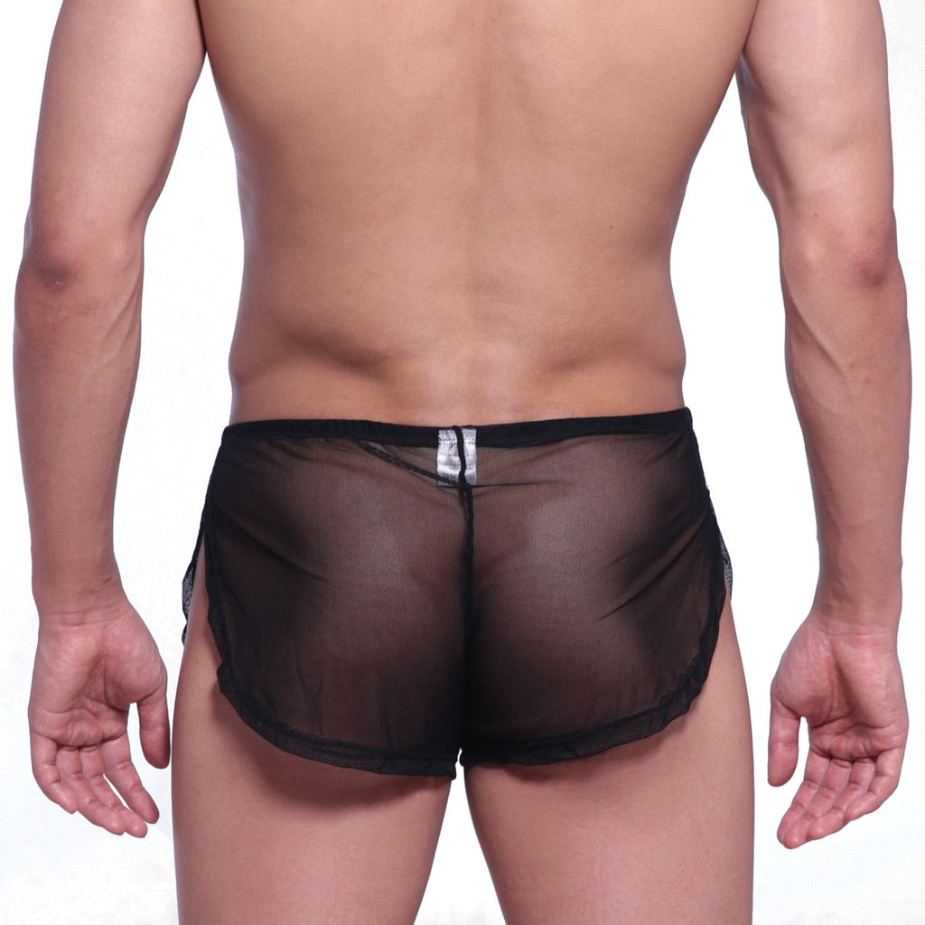 Black sheer mesh briefs with solid black waistband and side panels from metromalewear lounge split boxer 2008-71