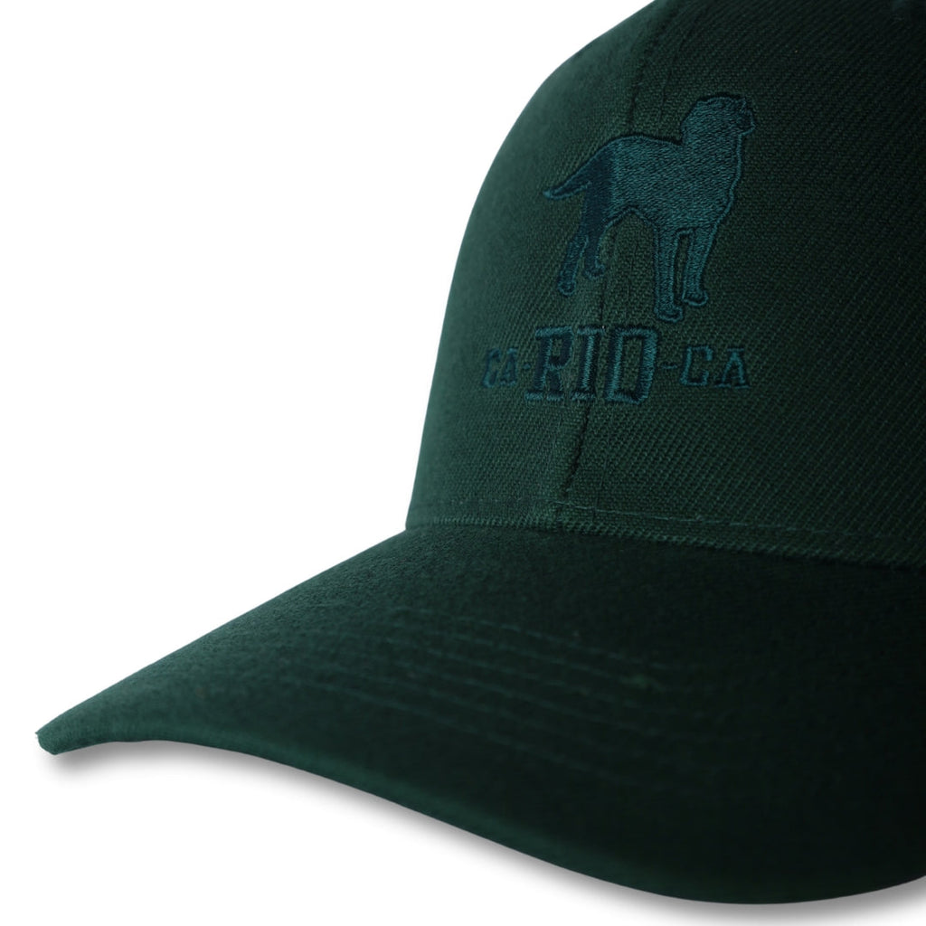 The Stealth CA-RIO-CA  Logo Embroidered Baseball Hat