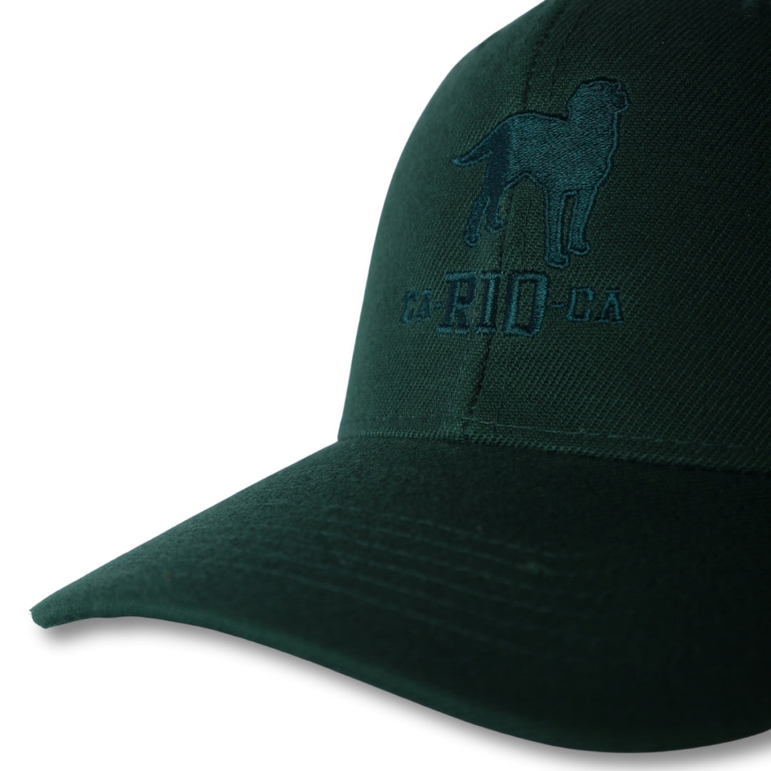 The Stealth CA-RIO-CA  Logo Embroidered Baseball Hat