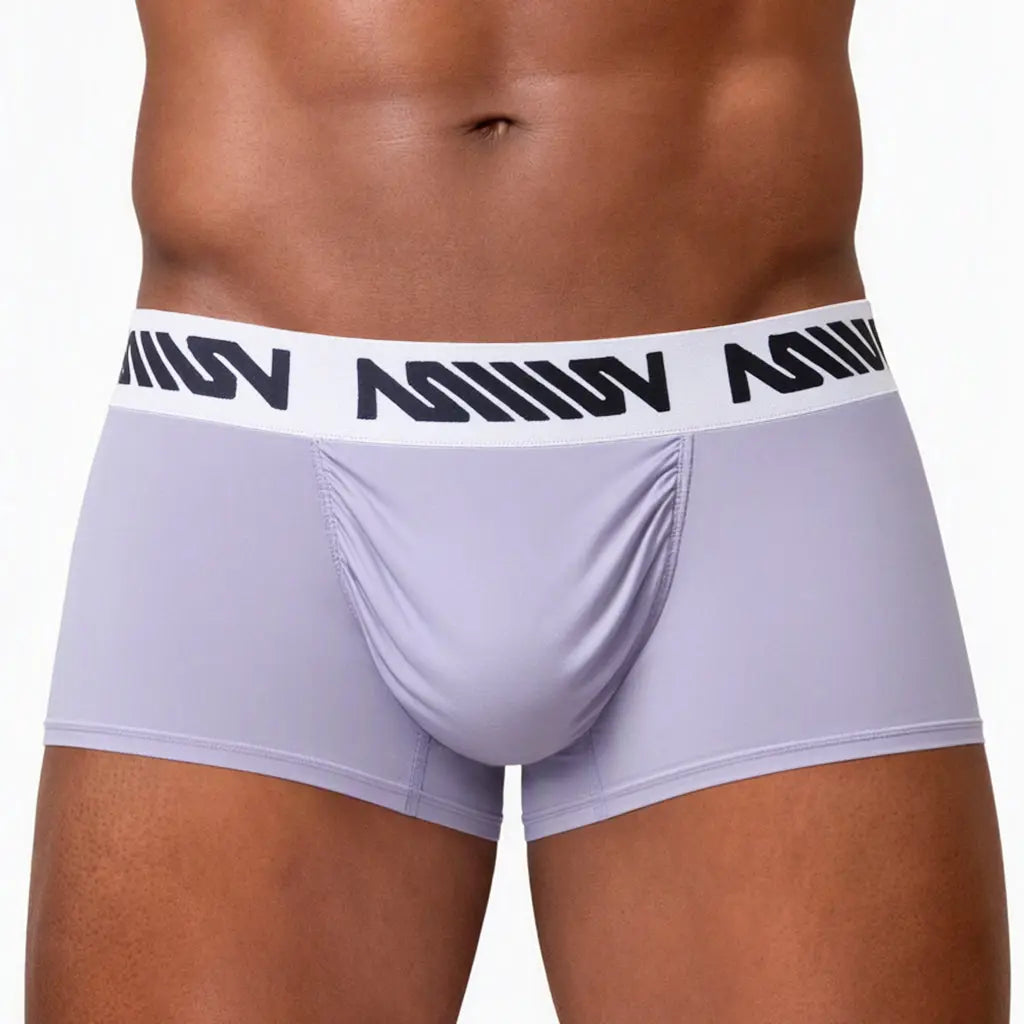 MetroMaleWear (M2W) Men's Gavio Trunk Lavender 3113-50