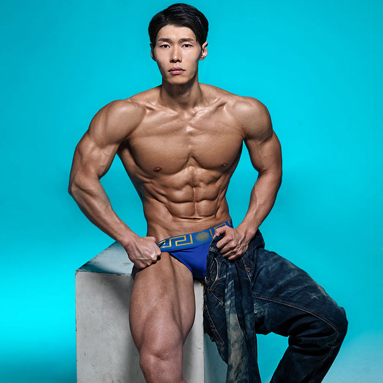 MetroMaleWear Special Edition Roman Blue Swim Brief 4916-SP21