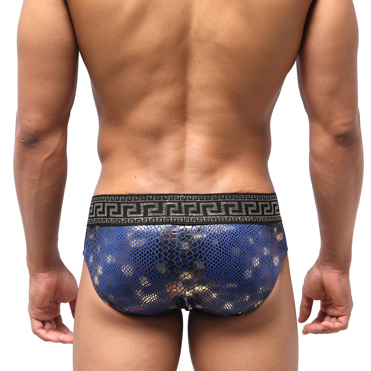 MetroMaleWear Special Edition Aladdin Swim Brief 4916-SP4