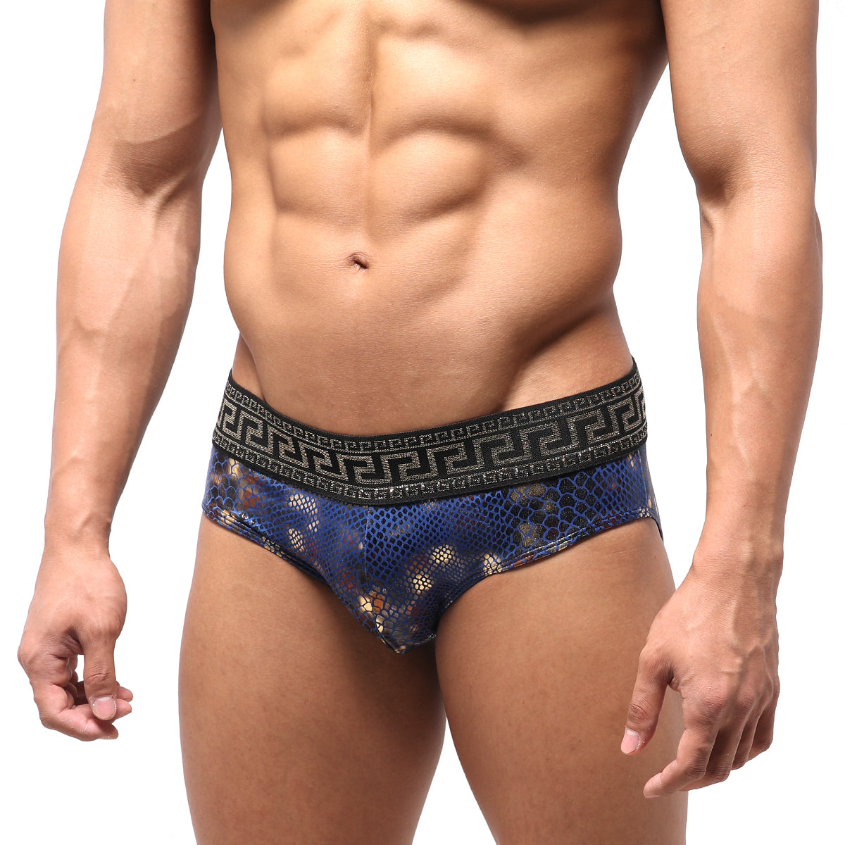 MetroMaleWear Special Edition Aladdin Swim Brief 4916-SP4