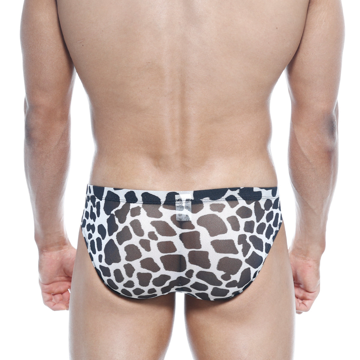 MetroMaleWear Vasco Hip Brief Dalmatian 5103-77
