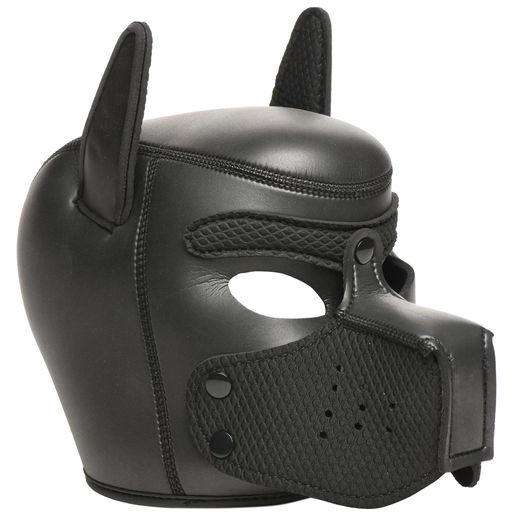 Set de arsenal de lujo para cachorros de 9 piezas