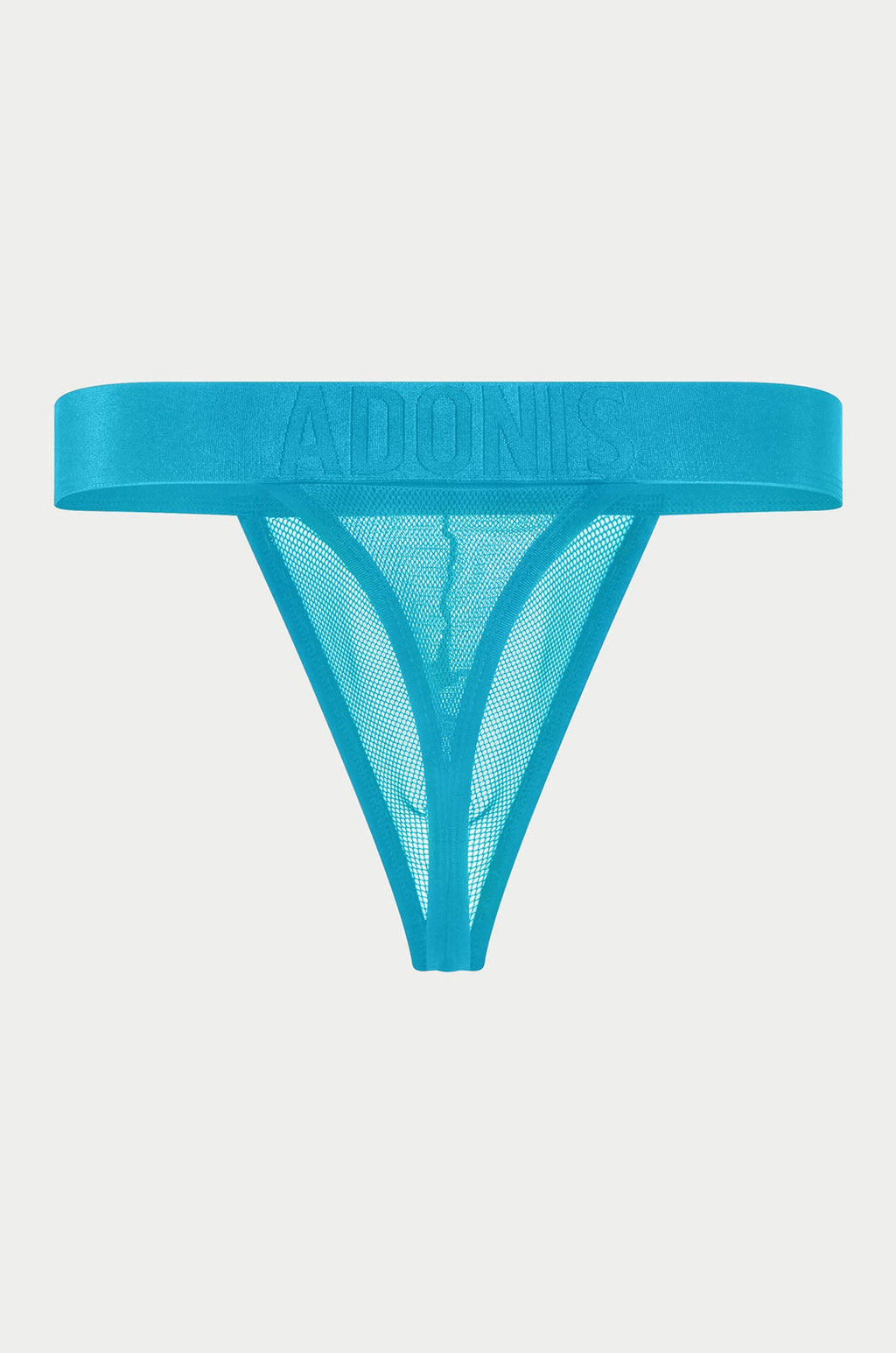 Luxe Mesh Temptation Blauer Tanga