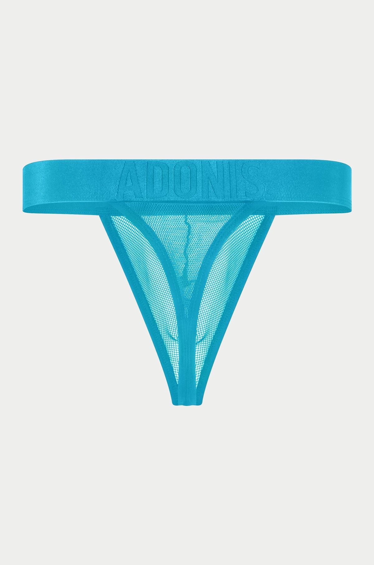 Luxe Mesh Temptation Blue Thong