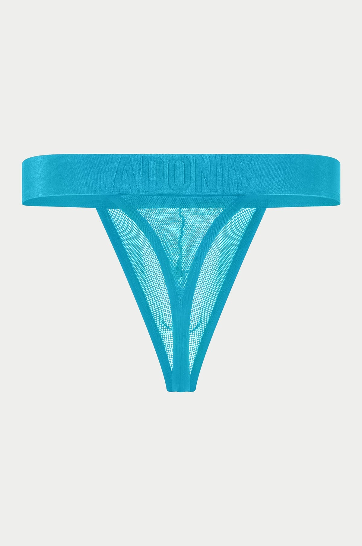 Luxe Mesh Temptation Blauer Tanga