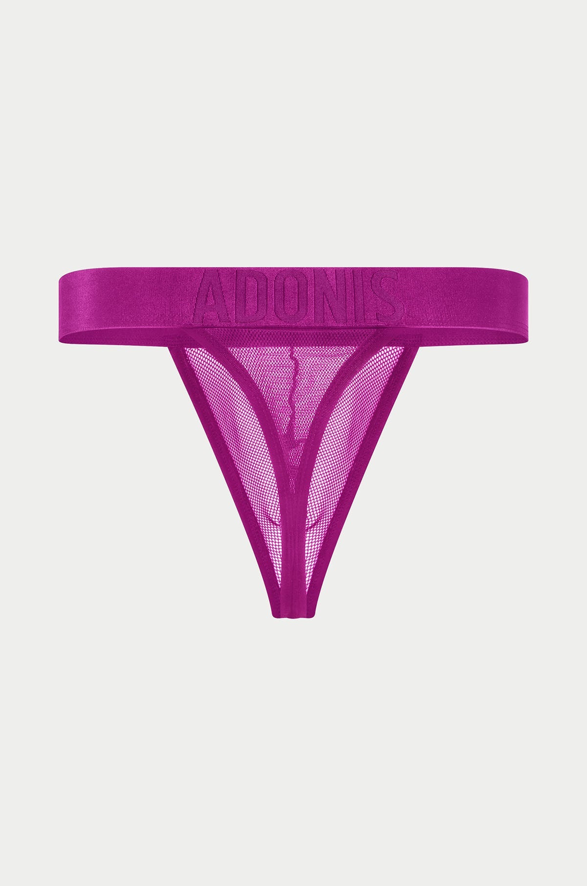 Luxe Mesh Purple Persuasion Thong