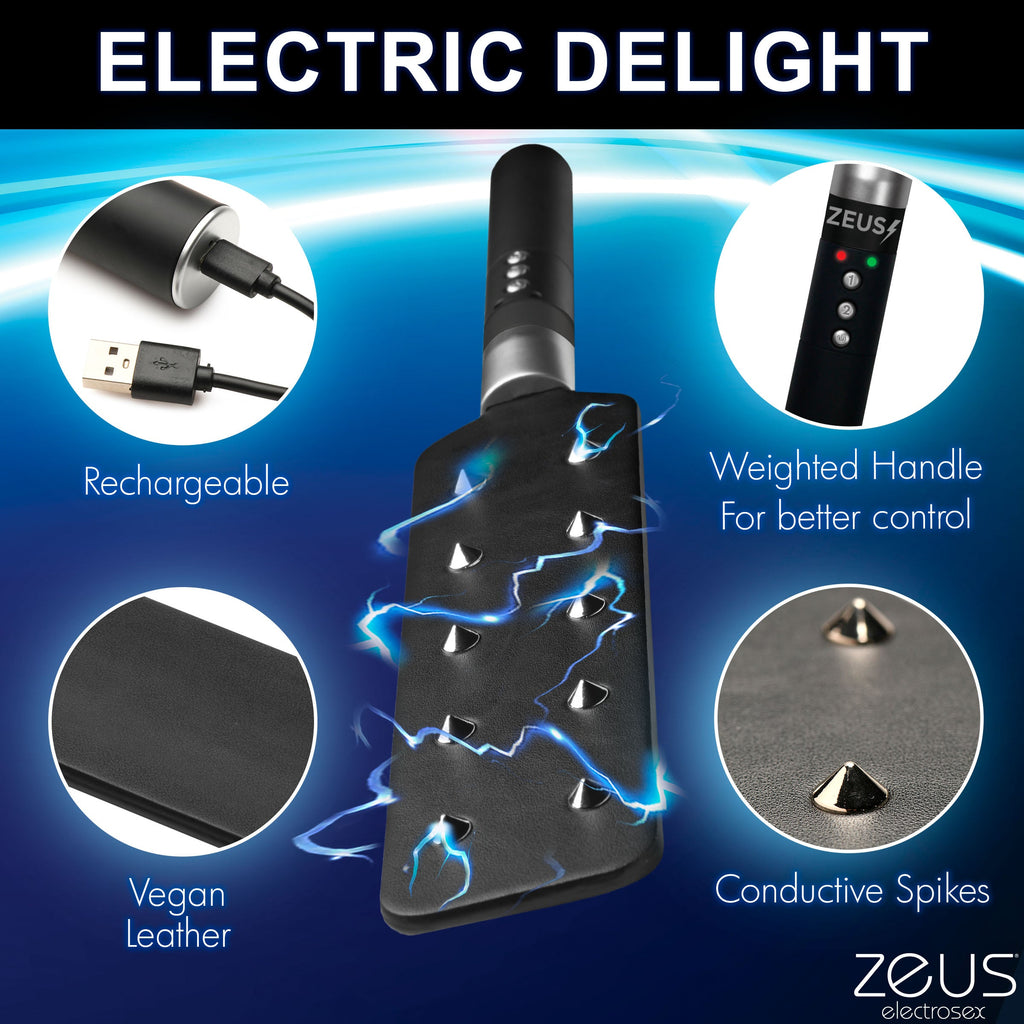 Zeus Electrosex E-stim Spiked Paddle