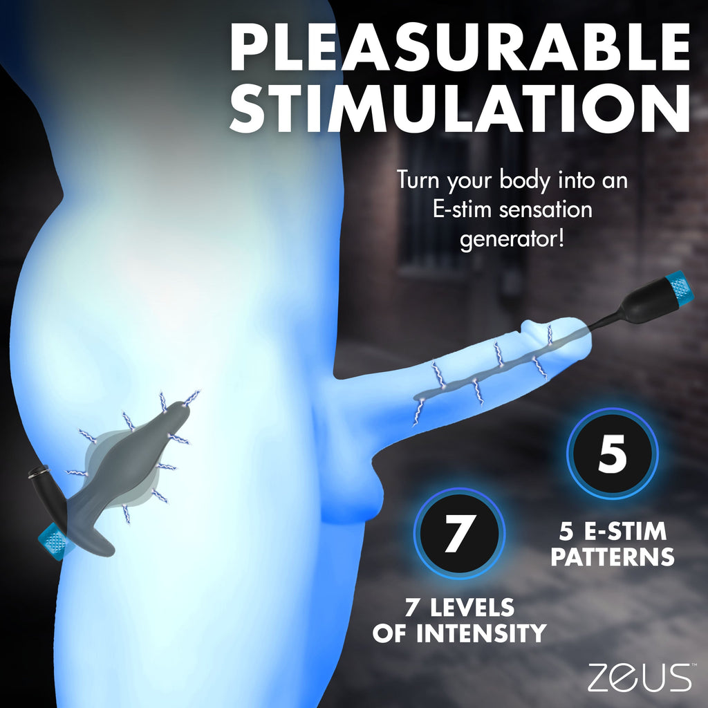 Zeus Electrosex Inflatable Anal Plug & Urethral Sound E-Stim Kit